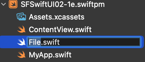 swiftui_2_1_2_2.png